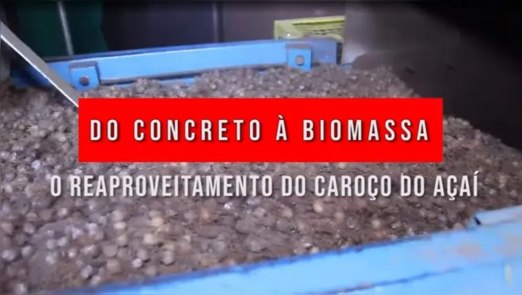 Imagem ilustrativa da notícia Do concreto à biomassa - O reaproveitamento do caroço do açaí