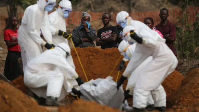 Imagem ilustrativa da notícia Congo já registra 865 mortes por surto de Ebola
