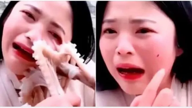 Imagem ilustrativa da notícia Mulher tenta comer polvo vivo e é atacada pelo animal. Veja o vídeo