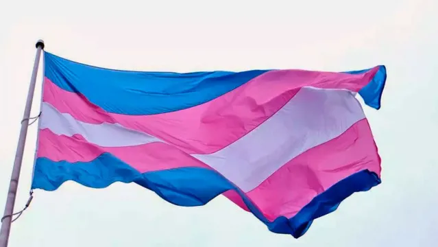 Imagem ilustrativa da notícia CCJ aprova ampliação de Lei Maria da Penha para mulheres transgêneras e transexuais