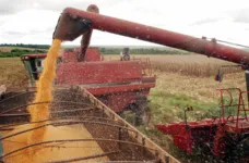 Segundo entidades empresariais, a abertura dos mercados latinos e europeus reacende o interesse de setores, como o de alimentos, que exportaria para milhões de pessoas e ajudaria a economia local.