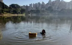 Mergulhadores dos Bombeiros fizeram buscas e encontraram o corpo.