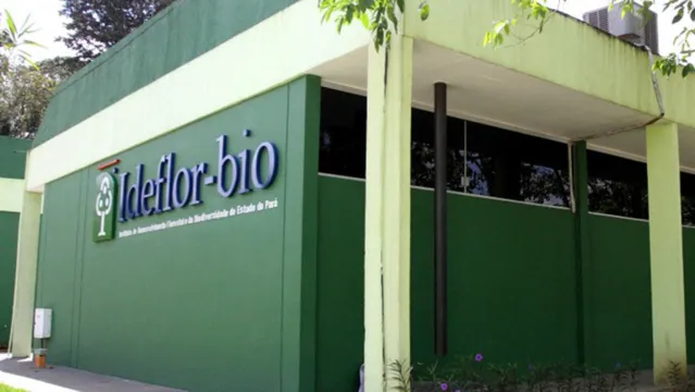 Imagem ilustrativa da notícia Ideflor-Bio oferta vagas no Pará em processo seletivo simplificado