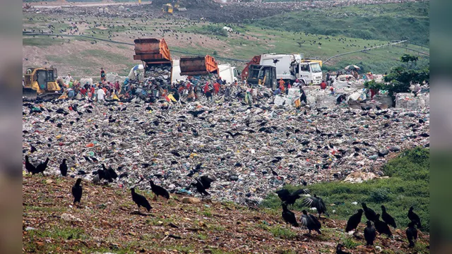 Imagem ilustrativa da notícia Lixão do Aurá ainda recebe resíduos