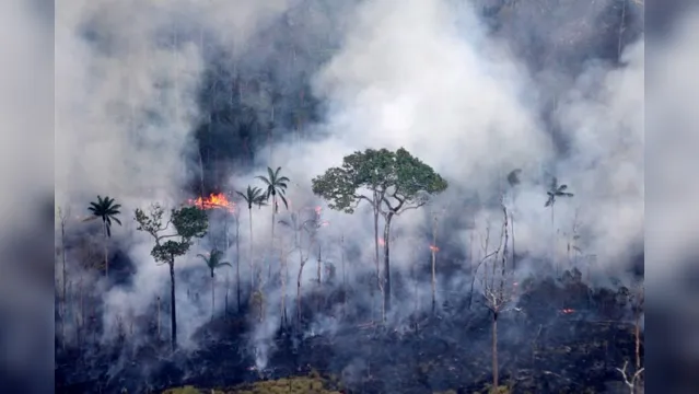 Imagem ilustrativa da notícia Pará já registrou mais de mil focos de queimada