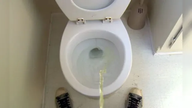 Imagem ilustrativa da notícia Eca! Vídeo mostra sujeira provocada pelo xixi de homens no banheiro 