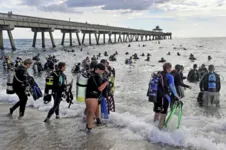 Imagem ilustrativa da notícia Mergulhadores retiram 1 tonelada e meia de lixo do mar