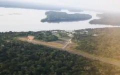 A data foi criada para conscientizar as pessoas sobre a importância da maior floresta tropical do mundo e da sua biodiversidade para o planeta.