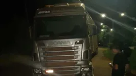 Os animais estavam sendo conduzidos pela rodovia BR-230
