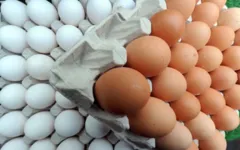 Imagem ilustrativa da notícia Homem morre após tentar comer 50 ovos em desafio