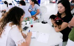 Além da adoção, feira terá vacinação e atendimento veterinário. 