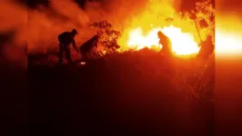 Foco de incêndio foi combatido em uma fazenda localizada no sudoeste do Pará. 