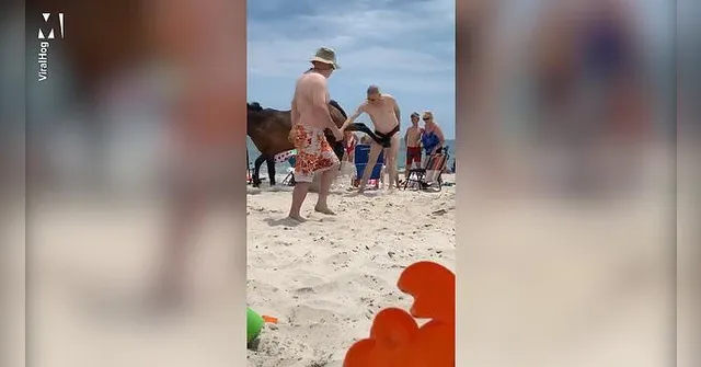 Imagem ilustrativa da notícia Vídeo: cavalo dá coice nos testículos de turista