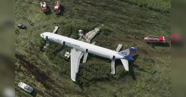 Imagem ilustrativa da notícia Avião faz pouso de emergência no meio do milharal; veja o vídeo