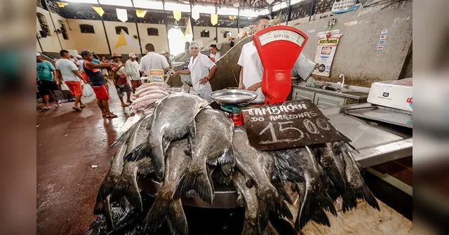Imagem ilustrativa da notícia Pescado fica mais barato em Belém pelo quarto mês consecutivo