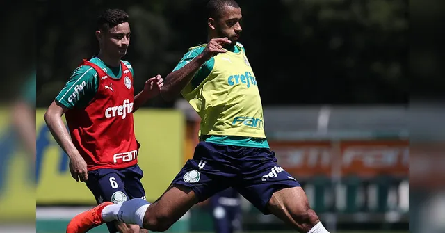 Imagem ilustrativa da notícia Palmeiras-SP faz treino coletivo visando jogo decisivo pela Série A