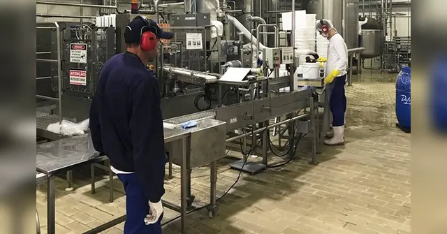 Imagem ilustrativa da notícia Indústria no Pará é a segunda que mais cresceu em agosto, aponta IBGE
