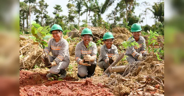 Imagem ilustrativa da notícia Alcoa impulsiona crescimento no Pará há 10 anos operando de forma sustentável mina de bauxita em Juruti