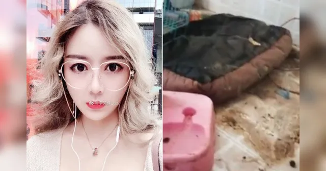 Imagem ilustrativa da notícia Influenciadora que ostentava vida de luxo nas redes é exposta por casa ‘imunda'