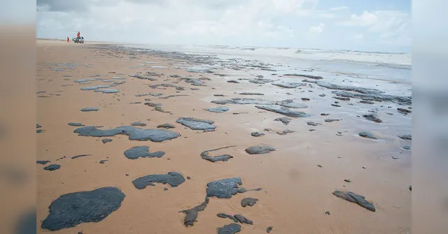 Imagem ilustrativa da notícia Equipes retiram mais de 100 toneladas de borra de petróleo no mar do Sergipe