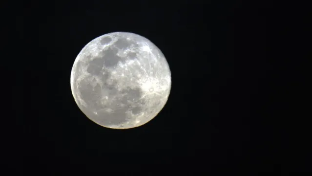 Imagem ilustrativa da notícia Lua cheia é vista no céu desta sexta-feira 13 após quase duas décadas