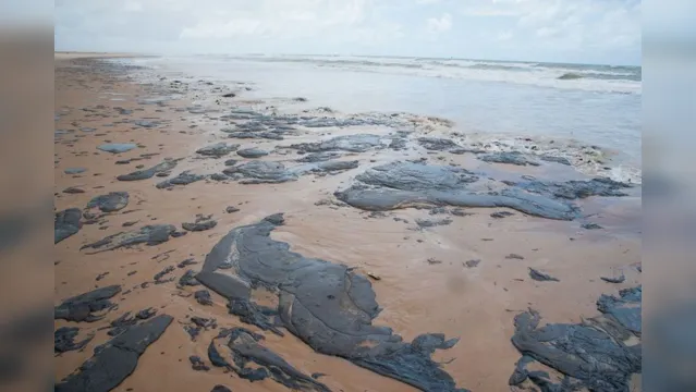 Imagem ilustrativa da notícia Extensão do dano causado por óleo no Nordeste é inédita, diz Marinha
