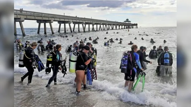 Imagem ilustrativa da notícia Mergulhadores retiram 1 tonelada e meia de lixo do mar