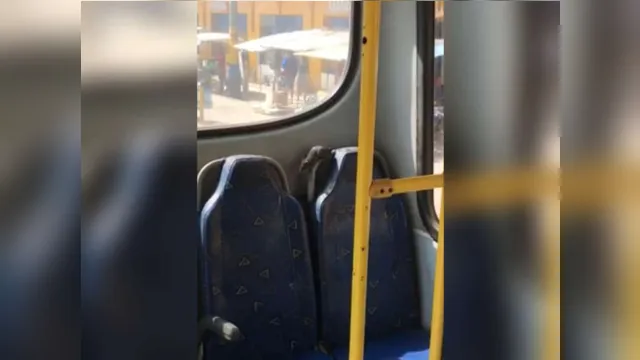 Imagem ilustrativa da notícia Rato é flagrado dentro de ônibus em Belém; veja o vídeo!