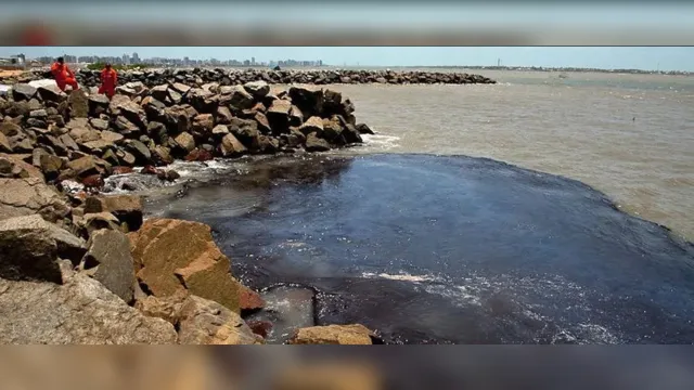 Imagem ilustrativa da notícia Veja imagens chocantes do óleo nas praias do Nordeste