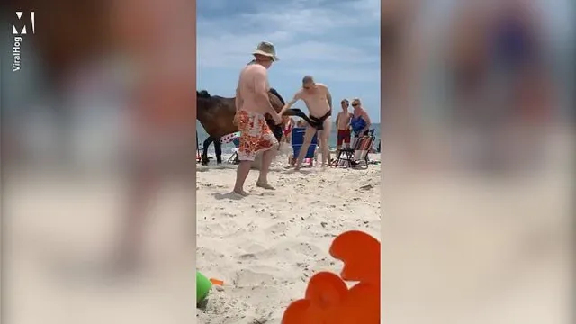 Imagem ilustrativa da notícia Vídeo: cavalo dá coice nos testículos de turista