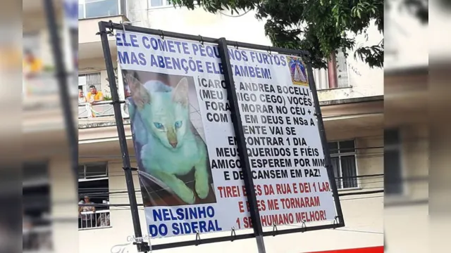 Imagem ilustrativa da notícia Devoto de Nossa Senhora homenageia 'gatinhos' no Círio de Nazaré