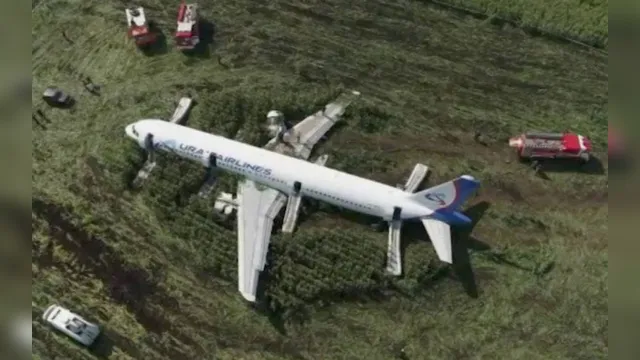 Imagem ilustrativa da notícia Avião faz pouso de emergência no meio do milharal; veja o vídeo