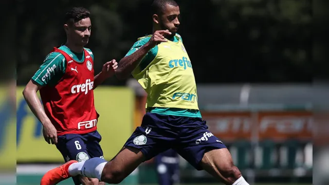 Imagem ilustrativa da notícia Palmeiras-SP faz treino coletivo visando jogo decisivo pela Série A