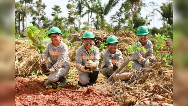 Imagem ilustrativa da notícia Alcoa impulsiona crescimento no Pará há 10 anos operando de forma sustentável mina de bauxita em Juruti