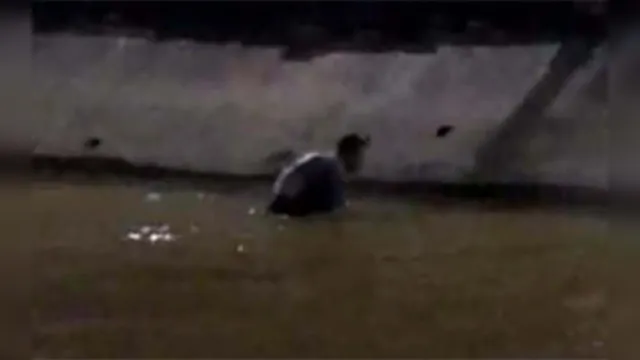 Imagem ilustrativa da notícia Fujão (ou sujão?) da Doca: vídeo com suspeito de assalto 'nadando' no canal viraliza