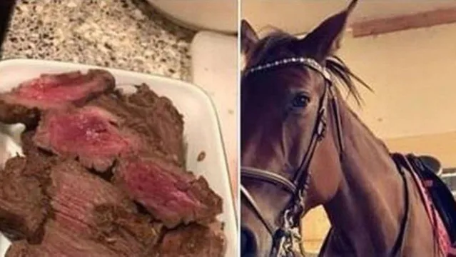 Imagem ilustrativa da notícia Jovem recebe ameaças de morte após comer a carne do cavalo de estimação