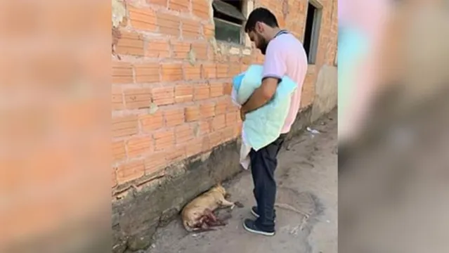 Imagem ilustrativa da notícia Vizinho castra cachorro ilegalmente e é multado junto com dona do animal 