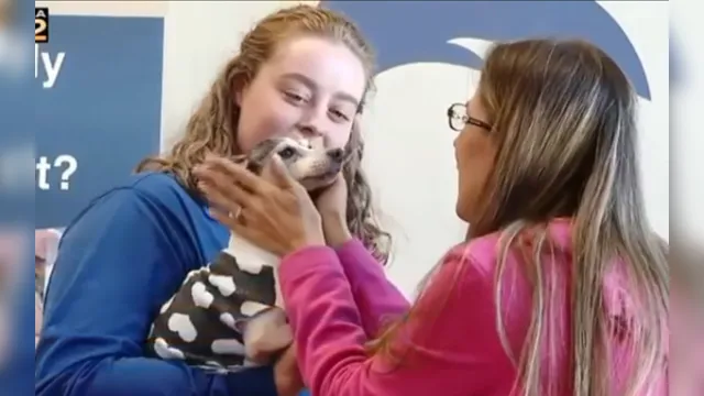 Imagem ilustrativa da notícia Mulher reencontra cadela após 12 anos. Veja o vídeo!