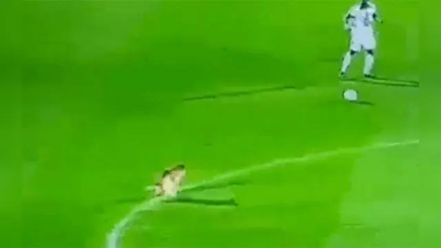 Imagem ilustrativa da notícia Vídeo: cachorro invade campo de futebol e deixa sua marca no gramado