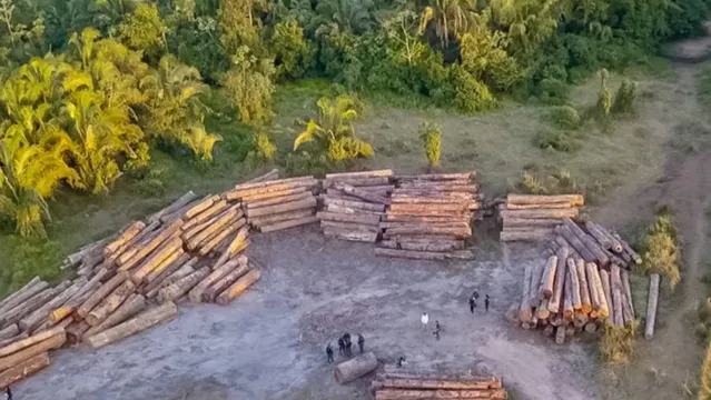 Imagem ilustrativa da notícia Força-tarefa contra desmatamento apreende madeira e equipamentos em cinco municípios do Pará