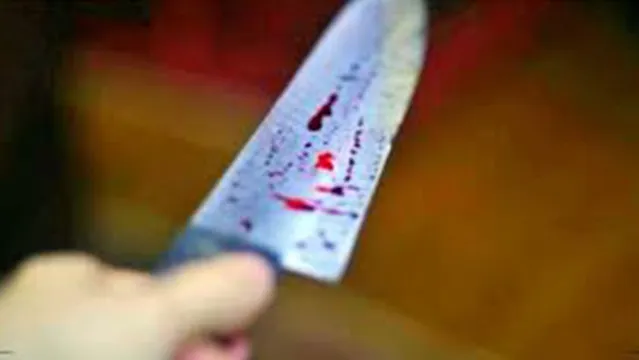 Imagem ilustrativa da notícia Filho adotivo é suspeito de matar mãe a facada
