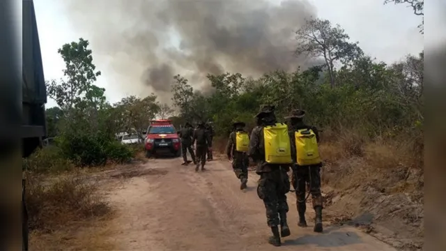 Imagem ilustrativa da notícia Estado executa força-tarefa para combater incêndio na região oeste do Pará