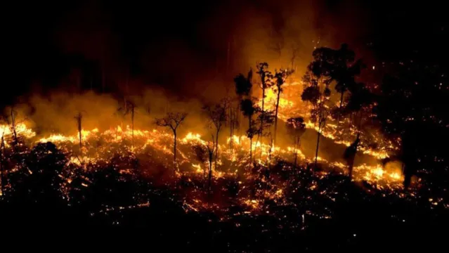Imagem ilustrativa da notícia Governo mantém operação de combate a queimadas no Pará