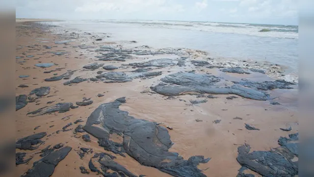 Imagem ilustrativa da notícia Óleo de origem desconhecida atinge praias de Salvador