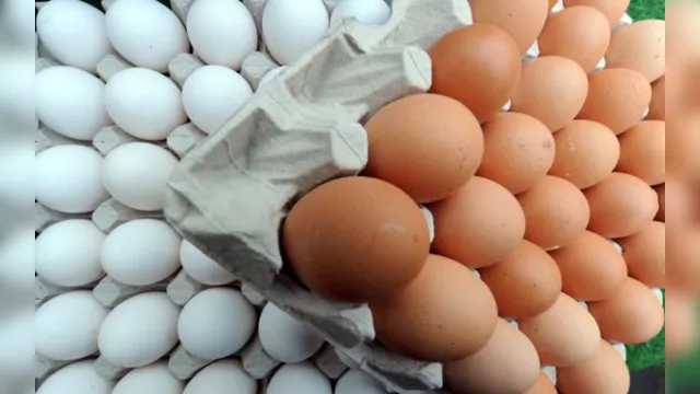 Imagem ilustrativa da notícia Homem morre após tentar comer 50 ovos em desafio