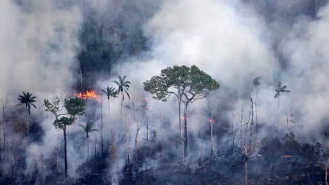 Imagem ilustrativa da notícia Pará pede ajuda das Forças Armadas para combate a incêndios