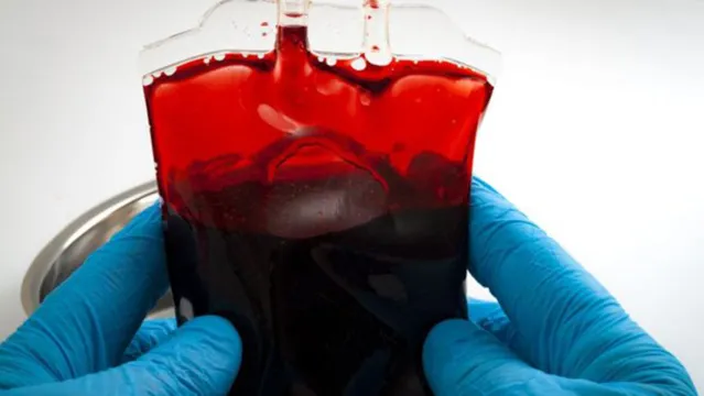 Imagem ilustrativa da notícia Cientistas Japoneses criam sangue 'universal' artificial para salvar vidas