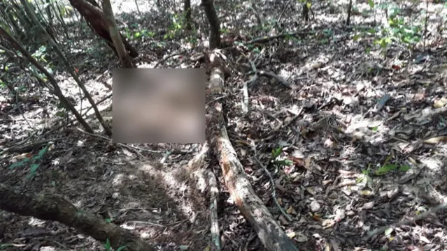 Imagem ilustrativa da notícia Cova rasa: corpo é encontrado enterrado em área de invasão 