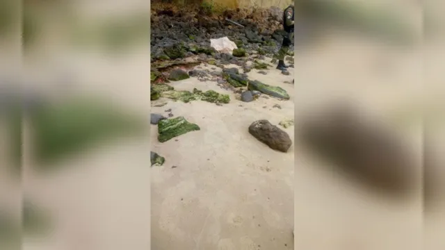 Imagem ilustrativa da notícia Mãe de homem achado morto em praia de Mosqueiro diz que vítima praticava estelionato