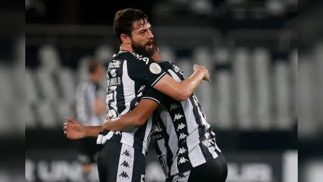 Imagem ilustrativa da notícia Botafogo
vence Avaí e respira contra o rebaixamento